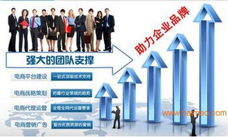 湖南網(wǎng)店美工設(shè)計(jì)、代運(yùn)營與網(wǎng)絡(luò)營銷策劃 一站式電商服務(wù)解決方案